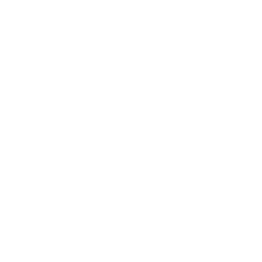 BUSINESS SALES
